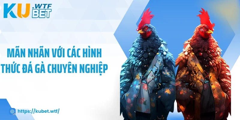 Mãn nhãn với các hình thức đá gà chuyên nghiệp
